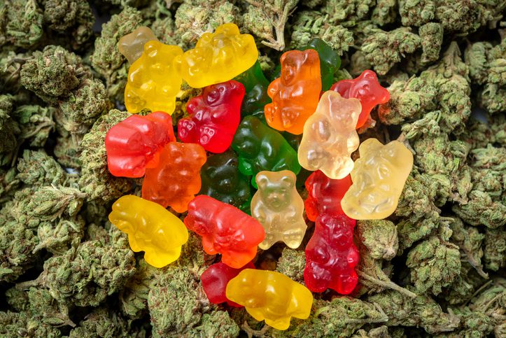 Stack of Organic Marijuana Gummy Bear Candies close up